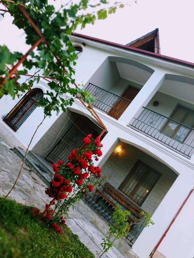 Villa "Zepuri" Dushet'i Exterior photo